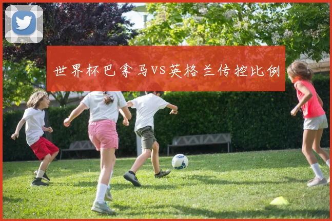 世界杯巴拿马vs英格兰传控比例