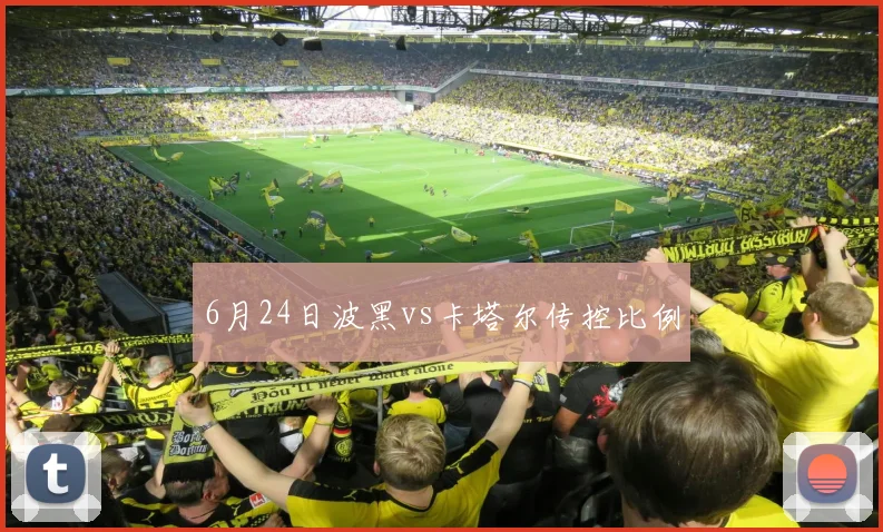 6月24日波黑vs卡塔尔传控比例