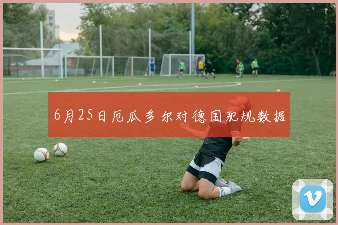 6月25日厄瓜多尔对德国犯规数据